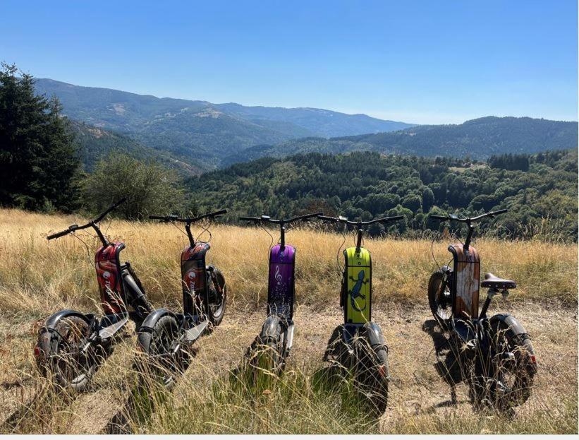 Le Cocon Du Vivarais Rochepaule Bagian luar foto